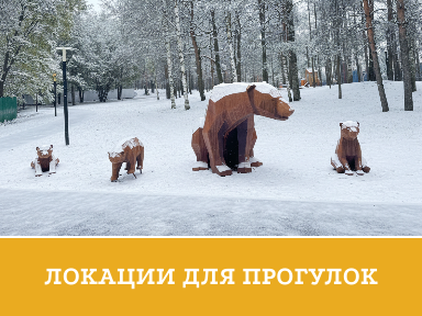 Маршруты для прогулок зима