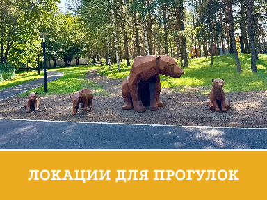 Локации для прогулок